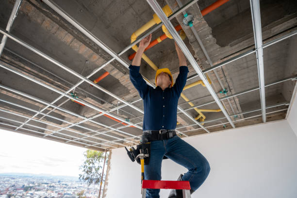 Best Plumbing Inspection Services  in Alva, FL