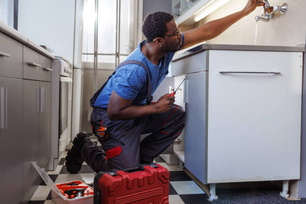 Best Local Plumber Services  in Alva, FL